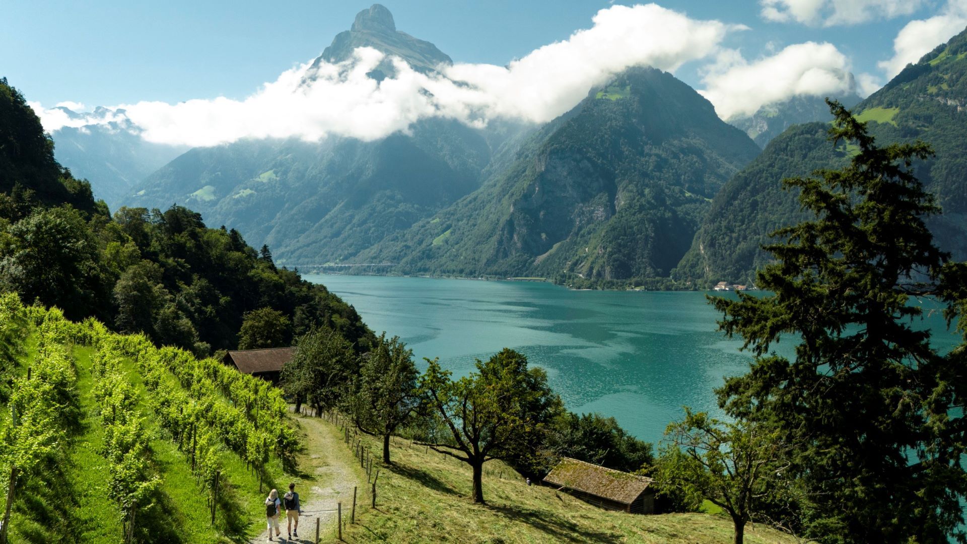 Coppia sul breve sentiero escursionistico verso la Tellsplatte vicino a Sisikon.